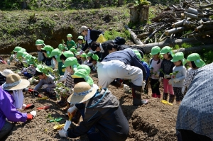 さあ植えよう