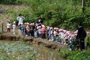 池観察