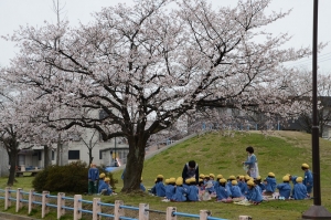 お花見