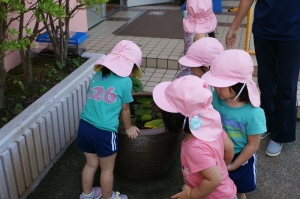 その前にメダカを観察して