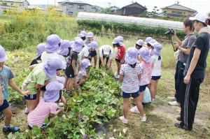 なかなか抜けない！