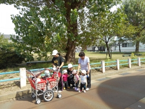 遠足日和になりました