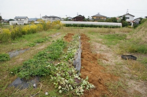 ありがとうございました