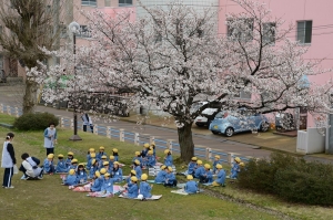 わーい　お花見だ
