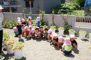 早く説明してよ