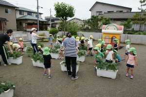 自分の枝豆の前に行きます