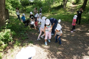 ここにもドングリあるよ