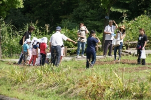 「水辺の植物のお話も聞きました