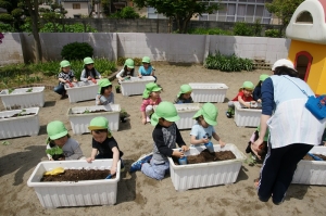 土に穴をあけて