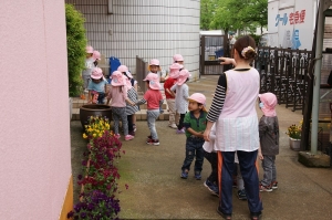いざ、出陣！メダカも気になります