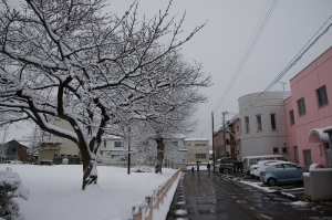 雪の舞う朝でした