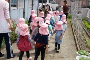充実の背中