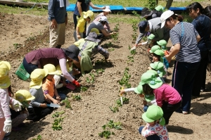 上手に植えたいな