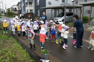 軍手を付けて整列します