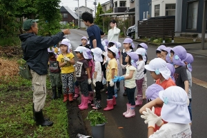 植え方の説明を聞きます