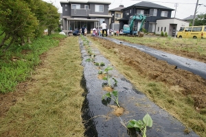 伸び伸び育てよ