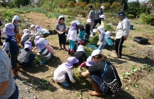 熱心に“豆もぎ”