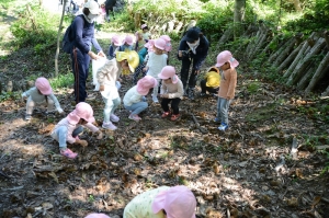 栗拾い