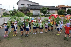 採ったぞー