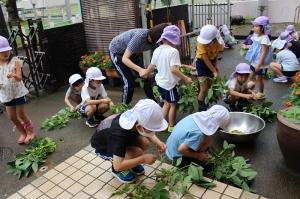 豆もぎ