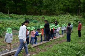 次は芋掘りに来るよ