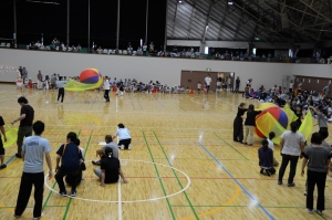 保護者レース「タイフーン」