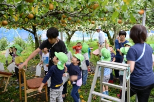 どれにするか選んでもぎ取ります