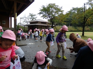 どんぐりを拾おう