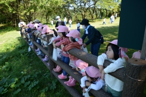 ヤッホー広場で