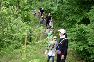 ちょっと山に入ります