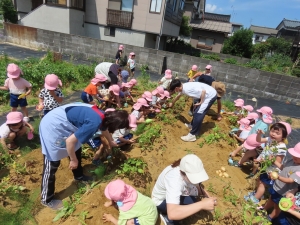 みんな夢中で掘っています