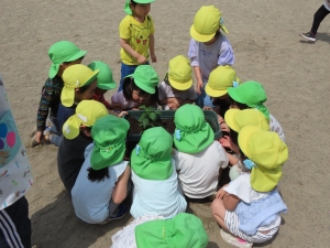 観察タイム