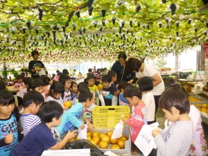 秋の遠足”新潟市池田観光果樹園”