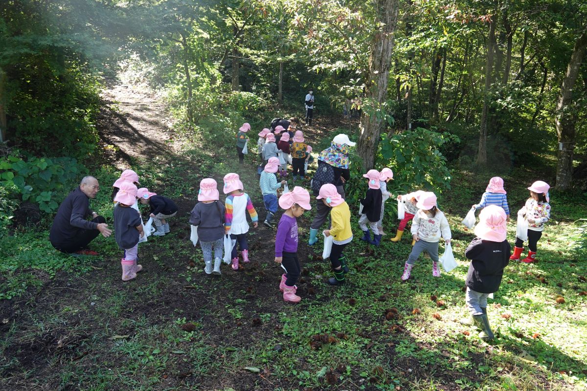 10月12日（木）さくらぐみの市民の森散策