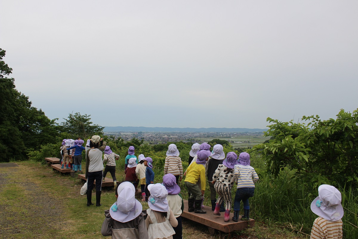 5月26日（金）年長のサツマイモ植え