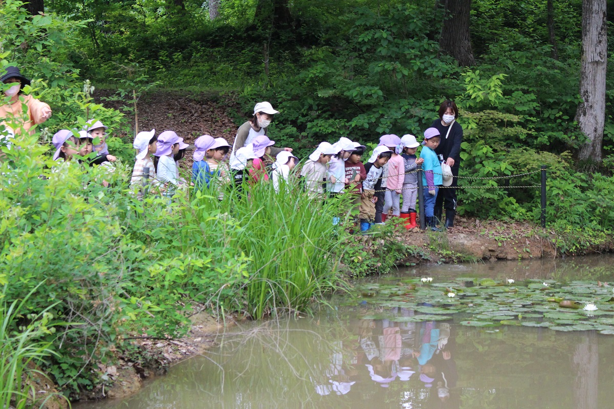 5月26日（金）年長のサツマイモ植え