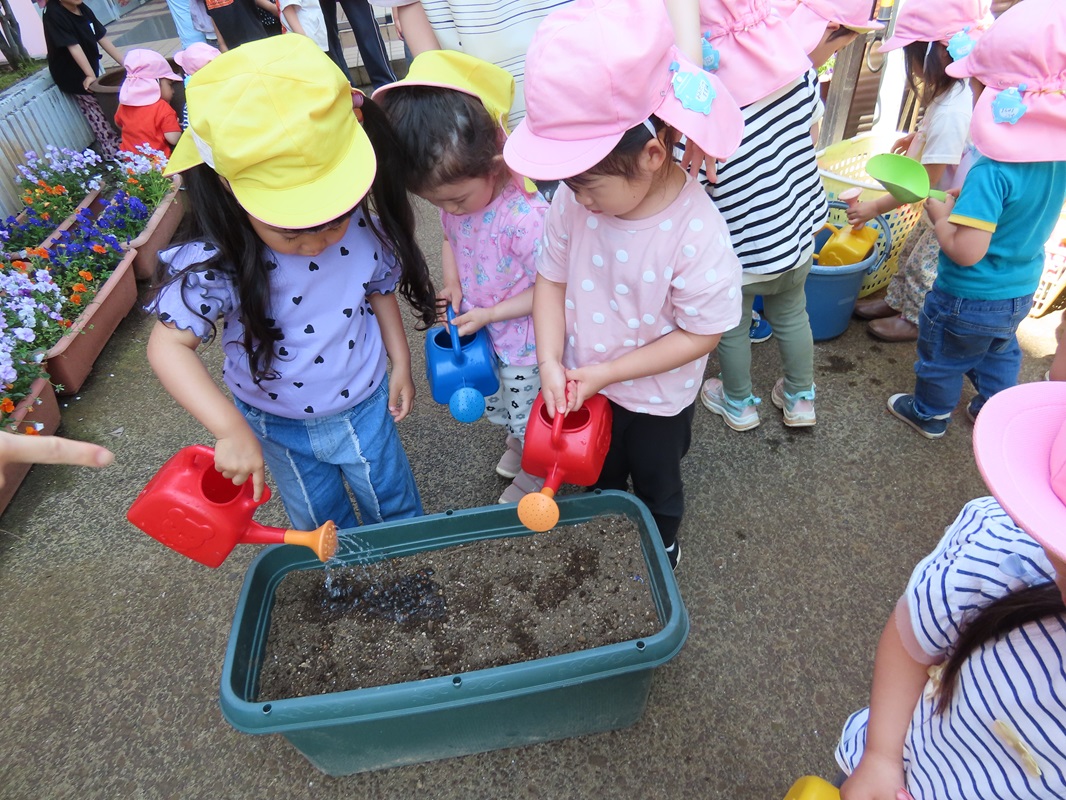 水やりもたっぷりと
