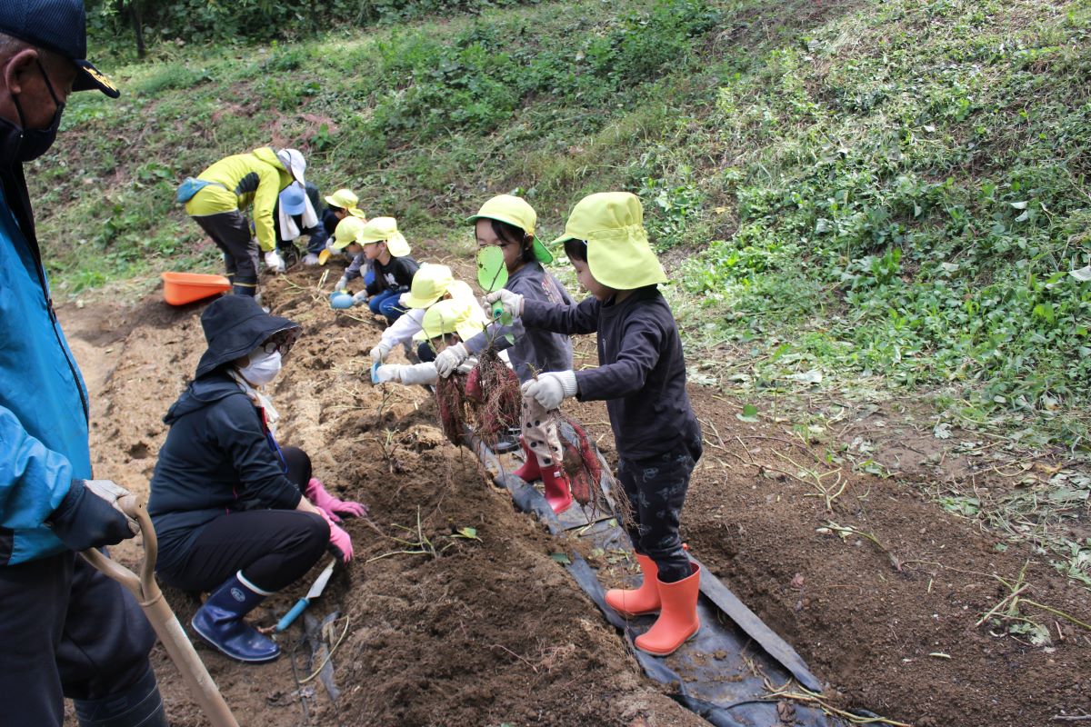 10月6日（金）きくぐみの市民の森体験活動