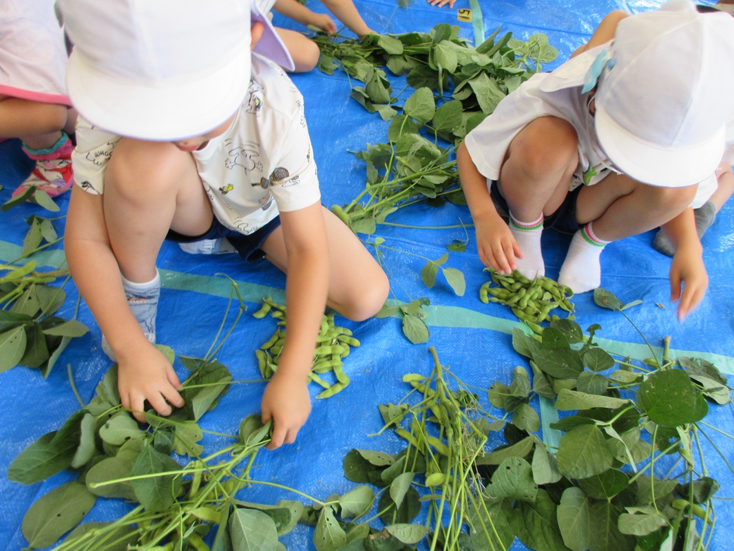 上手にとれるかな？