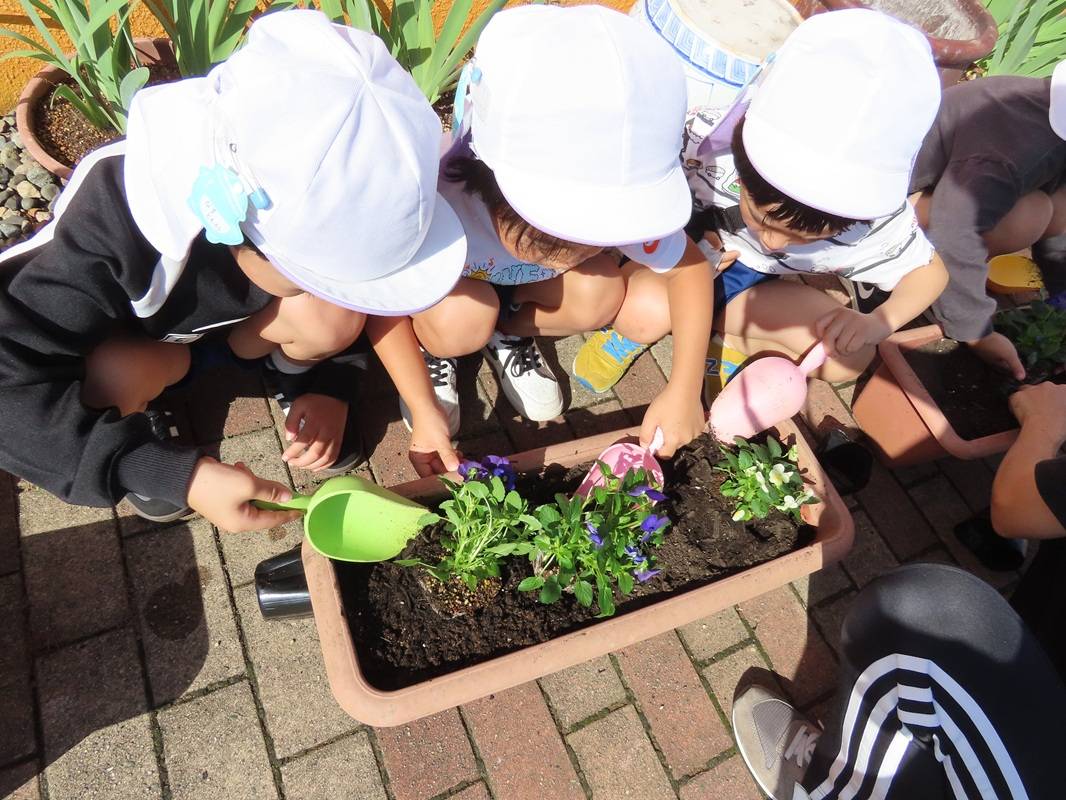 年長組の花苗植え
