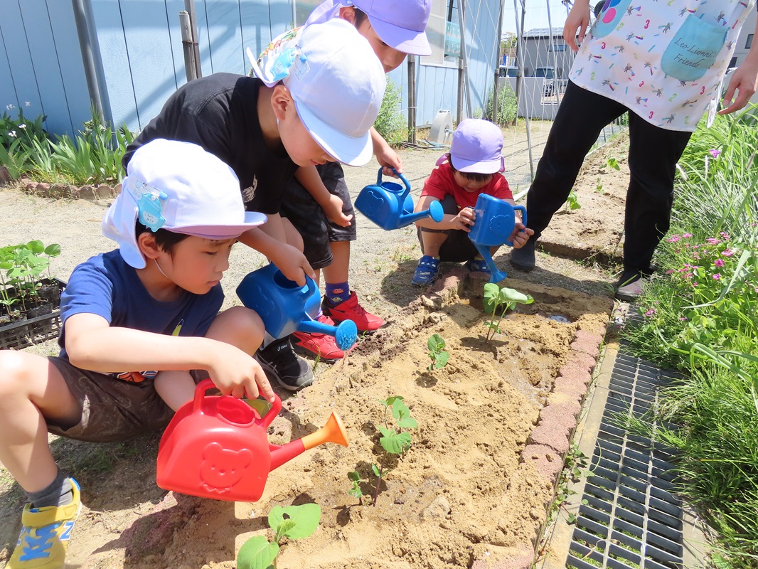たっぷりと水やり