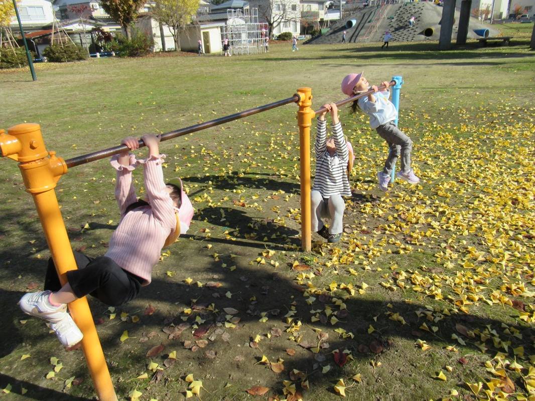 さくら組　公園で秋を満喫しました