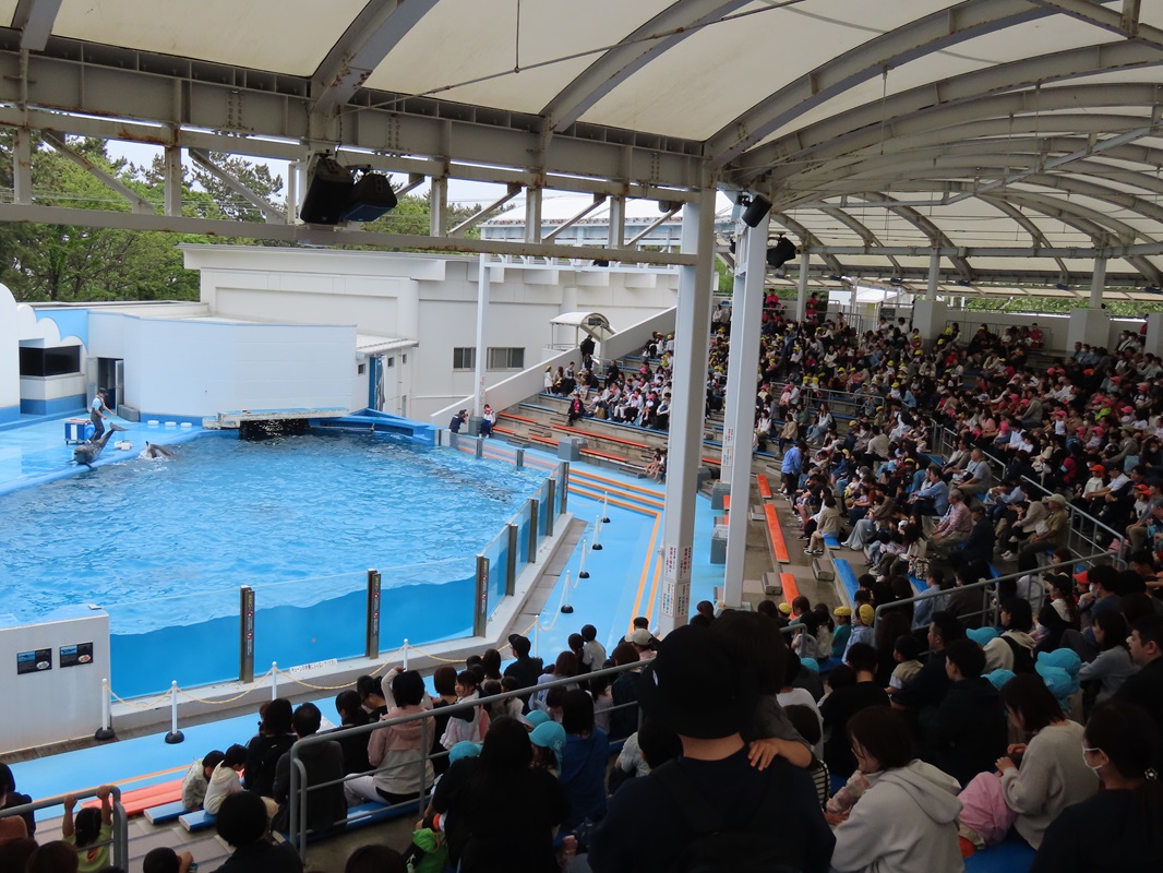 満員御礼！イルカショーも盛り上がりました！