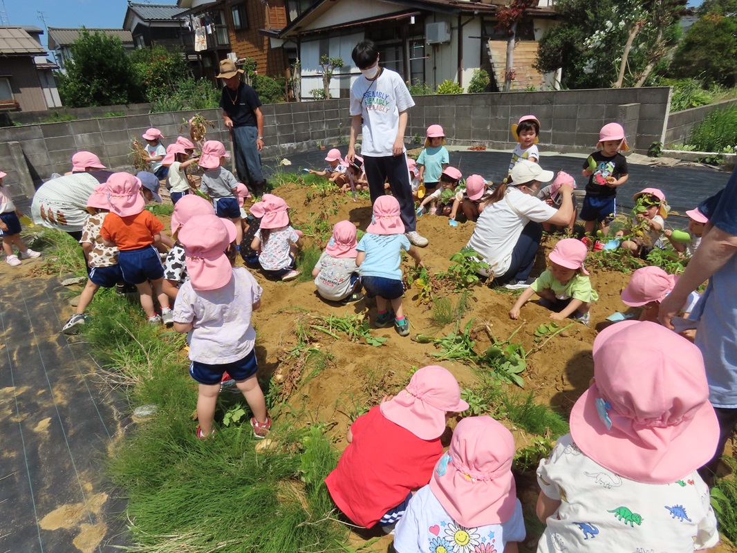 ６月１７日（月）年少組ジャガイモ掘り
