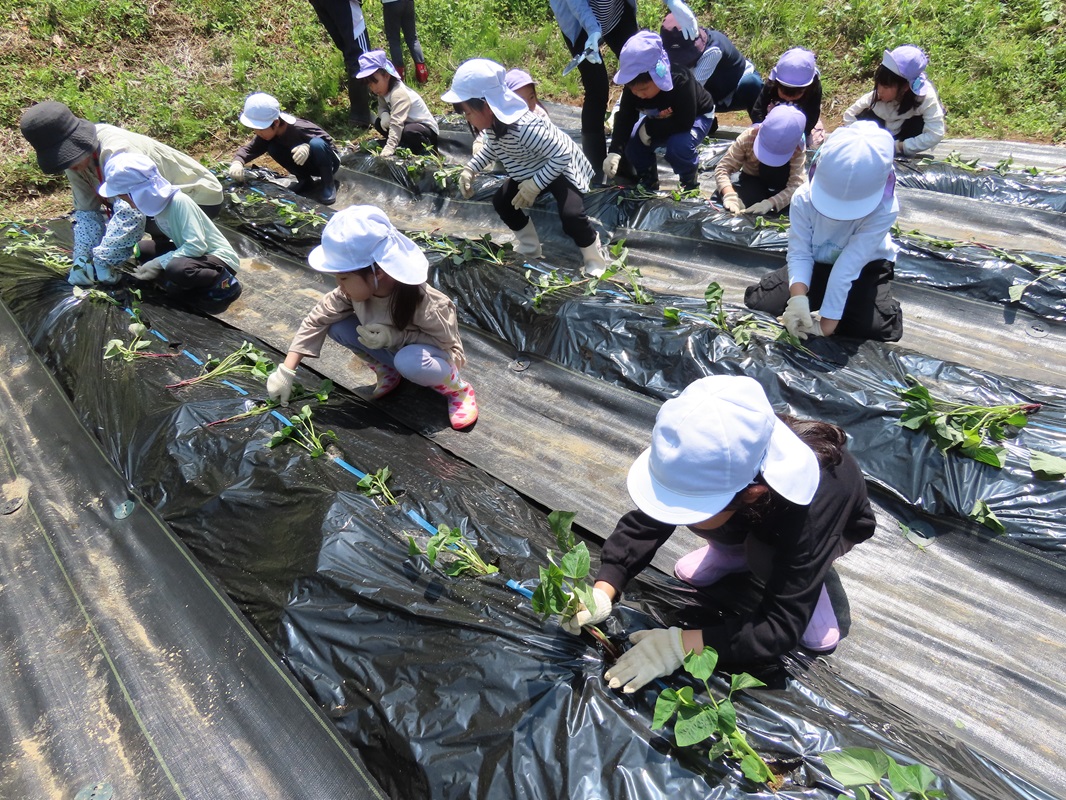 5月21日（水） 年長組 体験活動