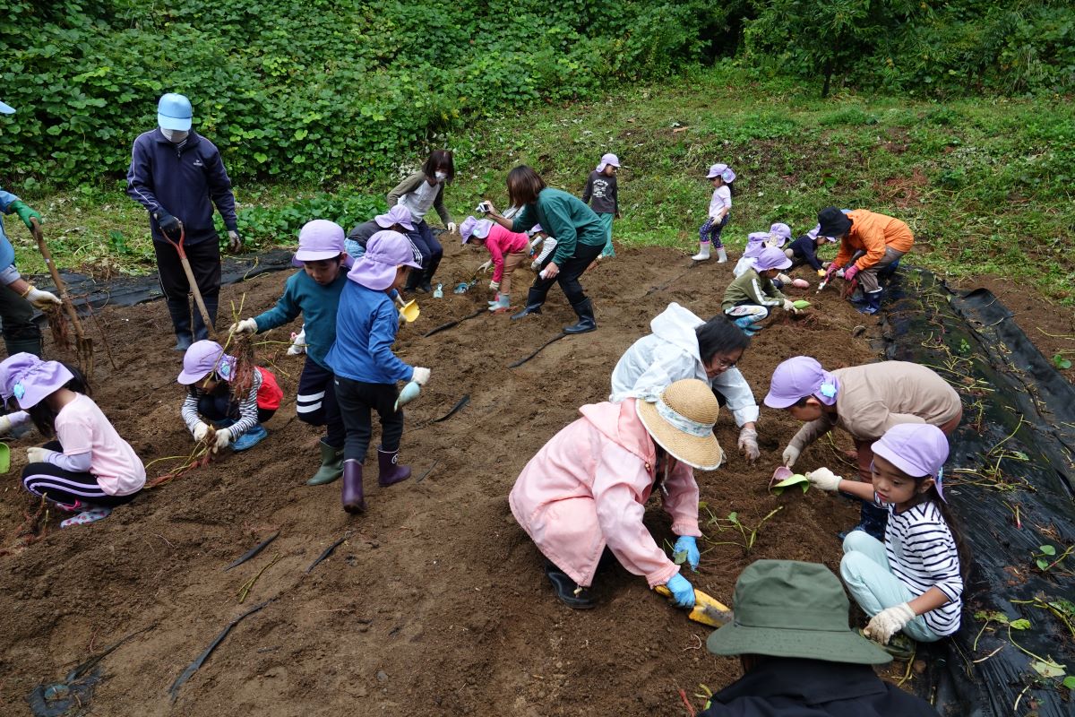 10月5日（木）すみれぐみの市民の森体験活動