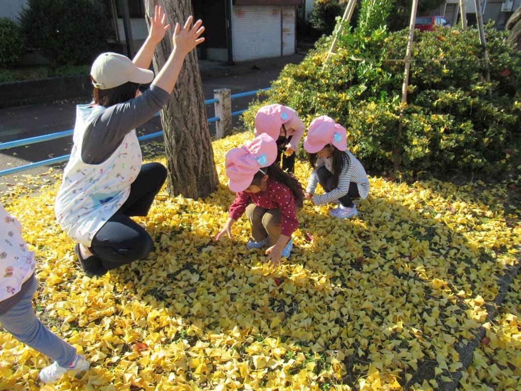 さくら組　公園で秋を満喫しました