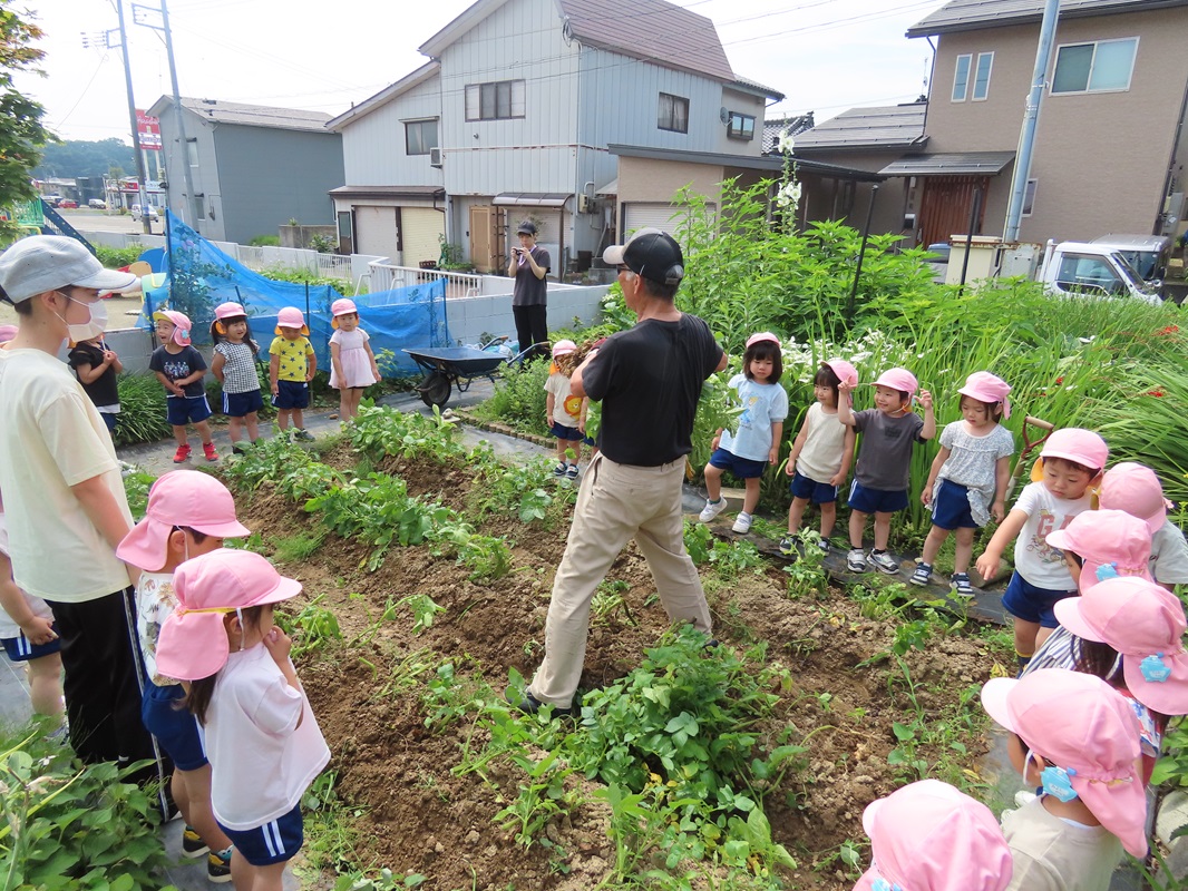 芋ほりの説明を聞いて