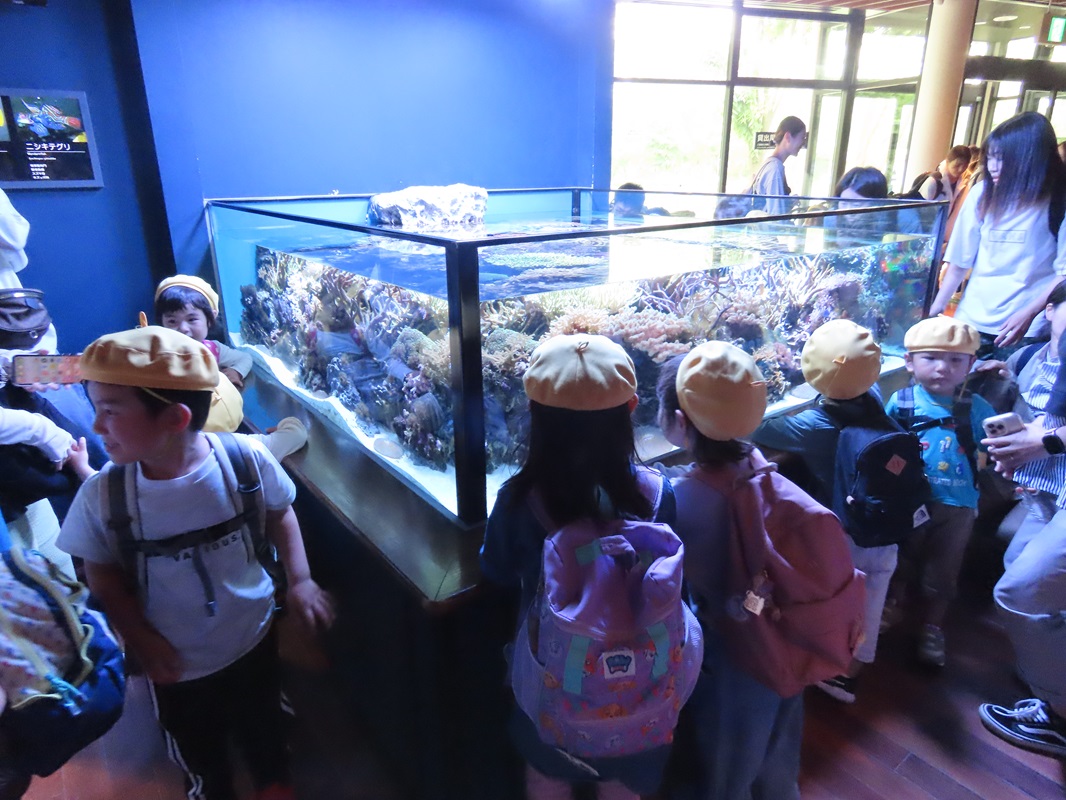 いろんな海の生き物に出会えたね♬