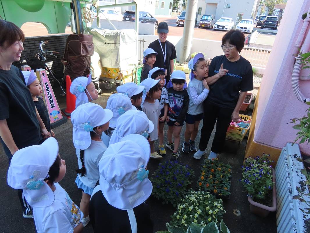年長組の花苗植え